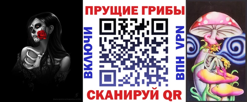 Псилоцибиновые грибы Psilocybe  даркнет сайт  hydra ССЫЛКА  Дубовка 